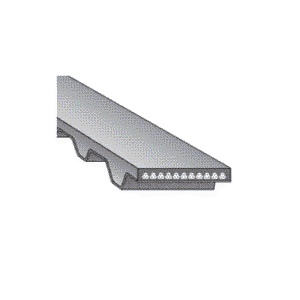 DÂY CUROA BANDO MXL, XL, L, H, XH, XXH